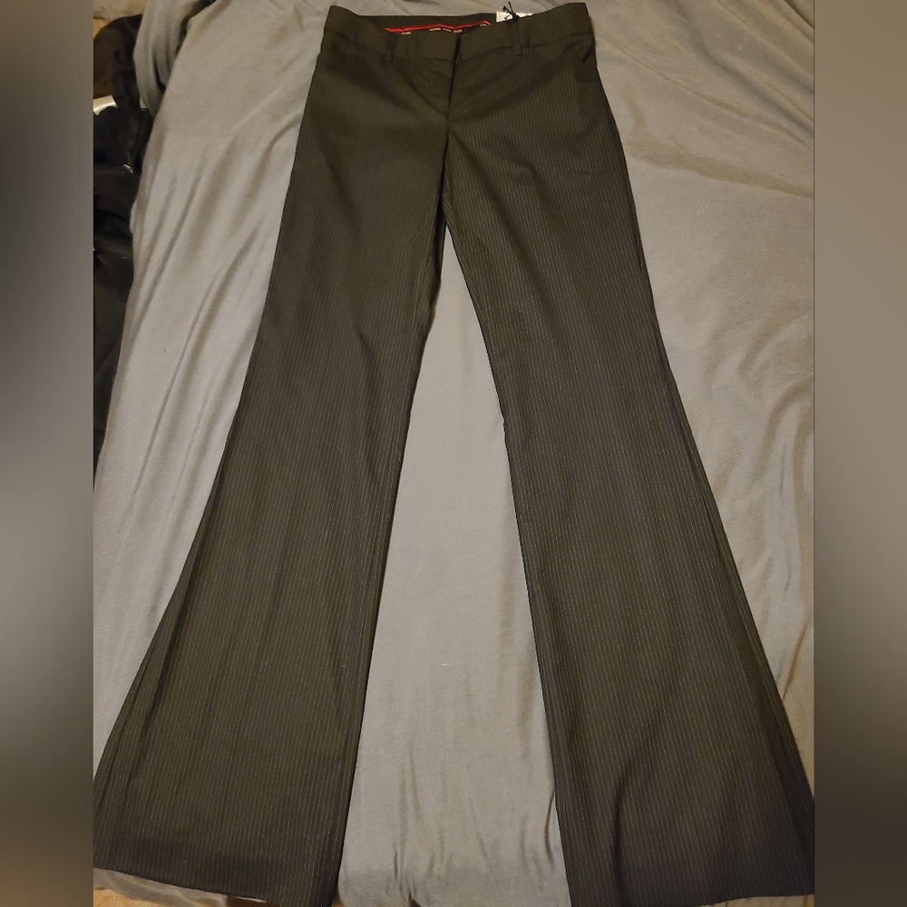 Express studio dress pants